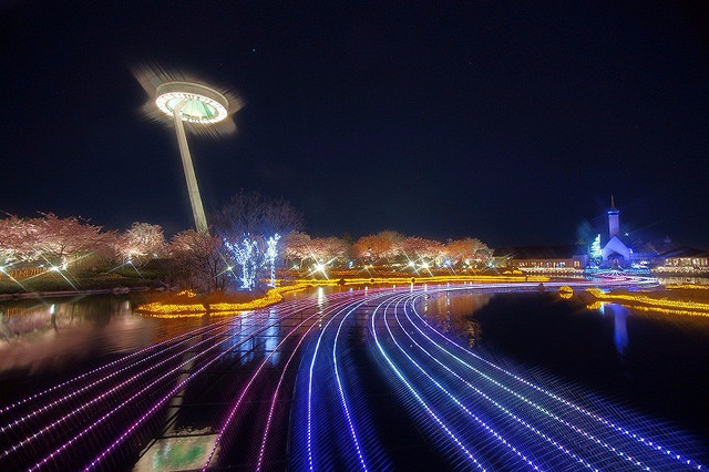 绝美！日本最大灯光秀亮相熊本县！熊本熊造型吸睛