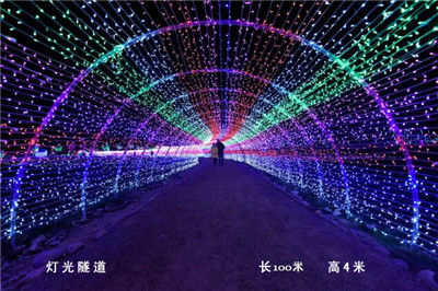 期待！敦化2018国际冰雪灯光节采用LED光雕技术