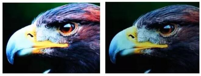 2016年度LED屏行业品牌盛会十佳品牌回顾—明微电子