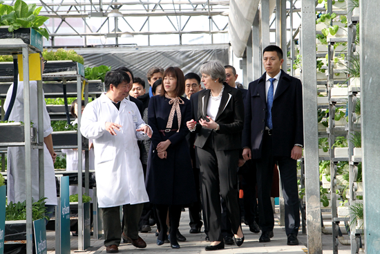 英国首相参观国家农业科技展示园 点赞LED植物工厂