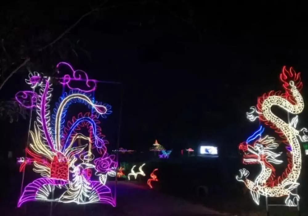 中华紫薇园梦幻灯光节：一场光影盛会