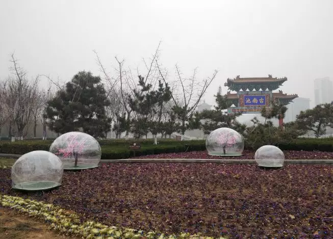 美爆了！2月5日起济宁将惊现大规模灯海！