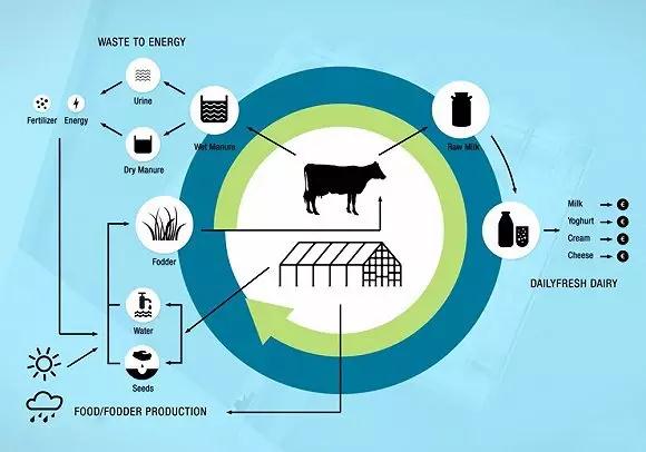 世界首个漂浮农场:机器人挤牛奶 LED灯种植草料 世界首个漂浮农场:机器人挤牛奶 LED灯种植草料