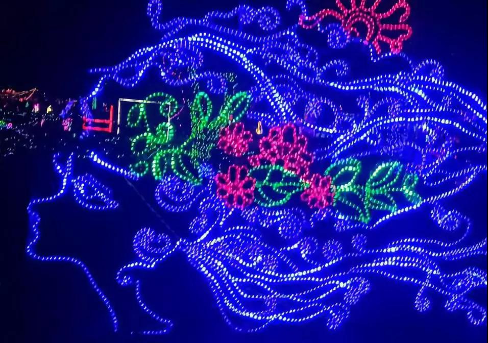 中华紫薇园梦幻灯光节：一场光影盛会