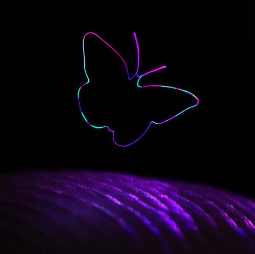 深圳进入“速冻模式”！各个行业热点话题打破寒冬