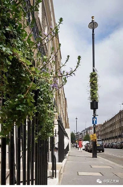 LED路灯+垂直绿化是一种怎样的体验？