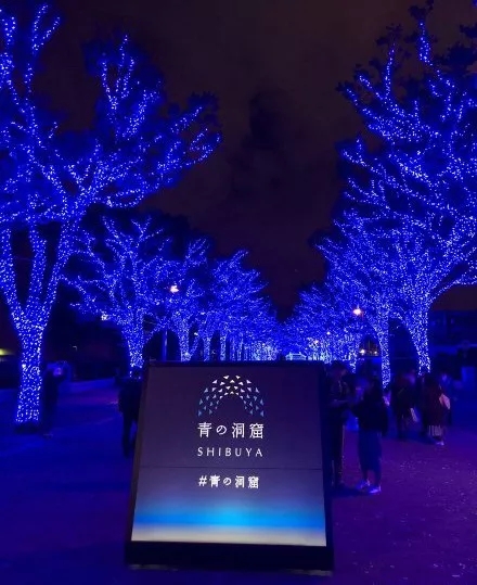 看看世界各地的圣诞灯饰设计与亮灯仪式