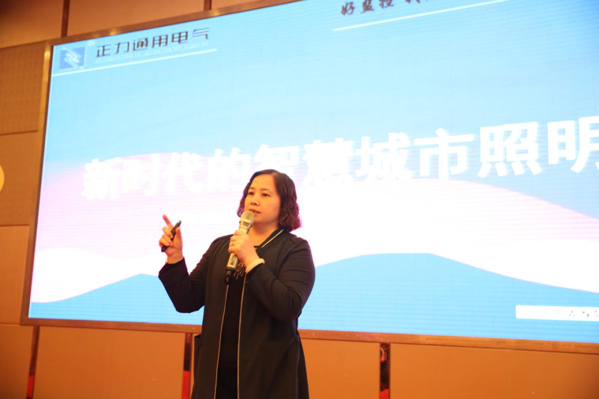 湖南省照明学会第二届一次会员代表大会暨2019年学术年会圆满落幕