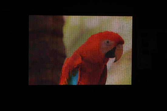 Touch Taiwan展场直击：Micro/Mini LED蓄势待发