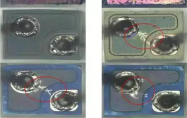 逆市而为，产品升级，加量不加价