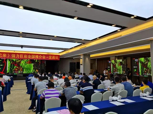 强力巨彩全国推介会再掀热潮！