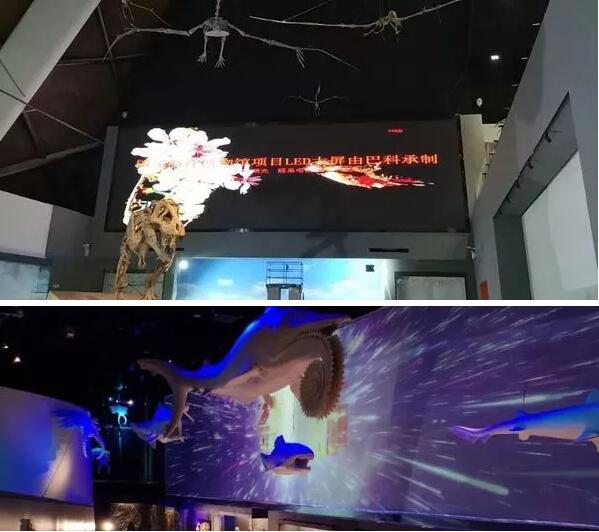 巴科LED大屏幕助力国家海洋博物馆“永不落幕”