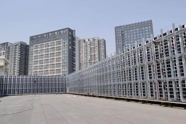 洛阳牡丹文化节丨艾比森让世界看见洛阳美，看见中国美