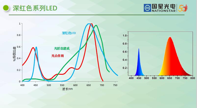 国星光电发布高光效植物光照LED