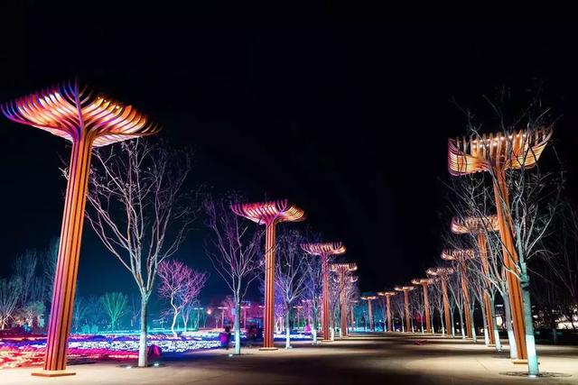 美极了！雷士照明助力照亮北京世园会