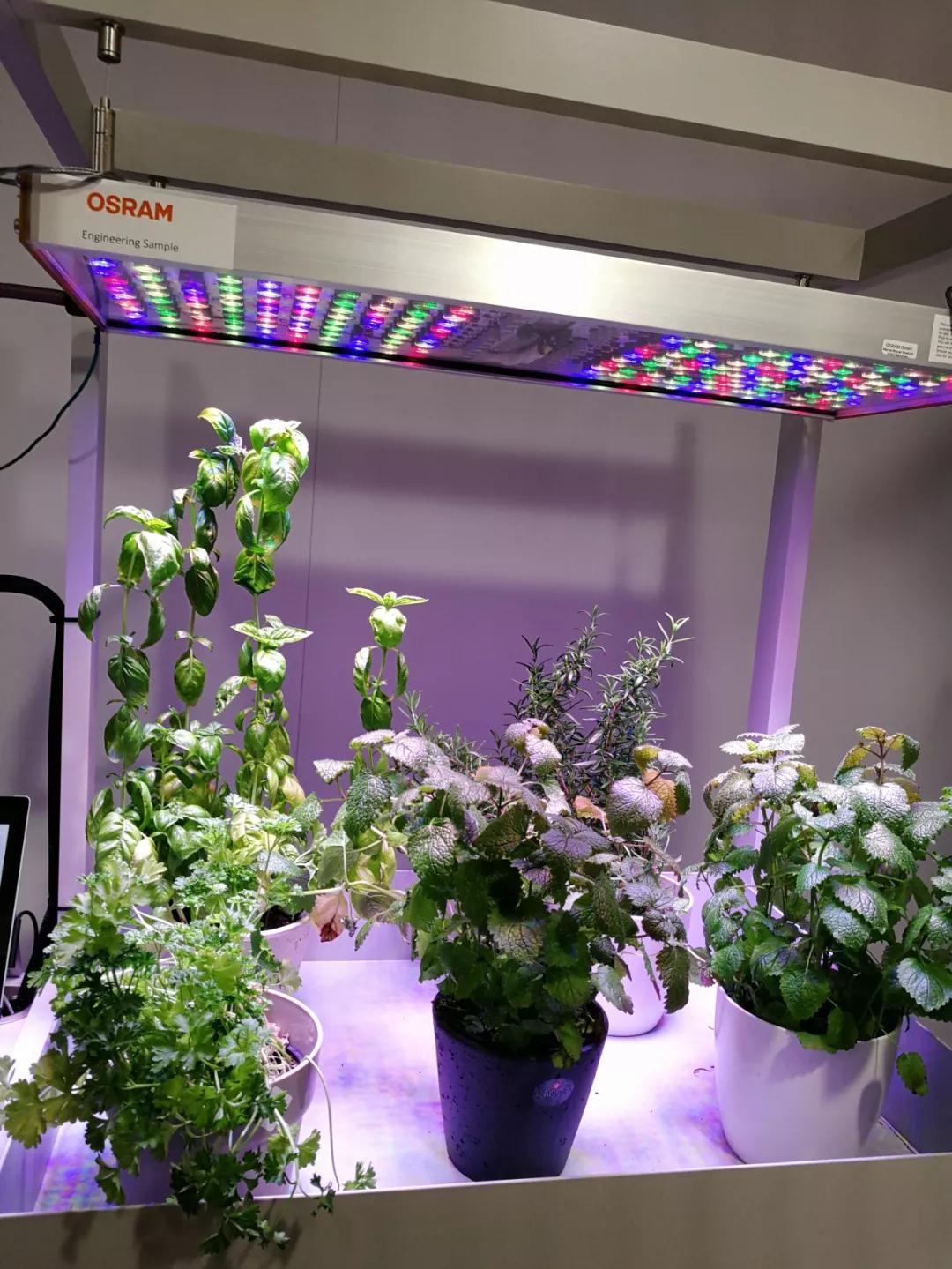 2018慕尼黑电子展：欧司朗的一些“有意思”的高科技