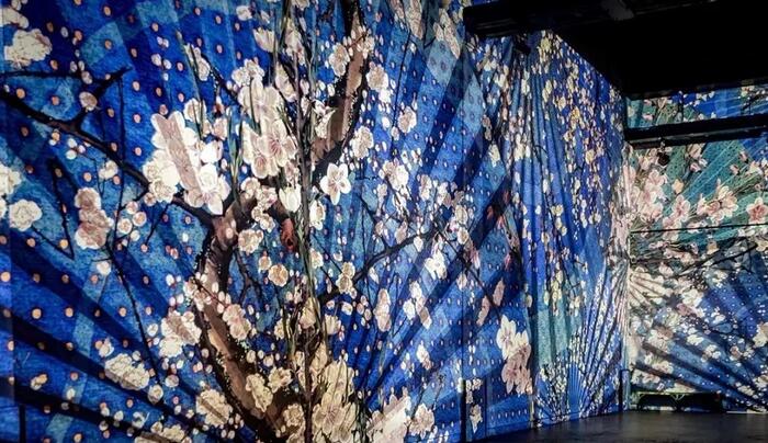 惊艳!360度无死角超高人气的沉浸式博物馆 惊艳!360度无死角超高人气的沉浸式博物馆