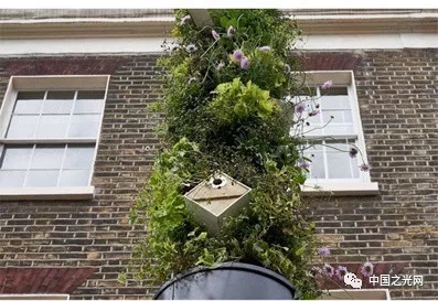 LED路灯+垂直绿化是一种怎样的体验？