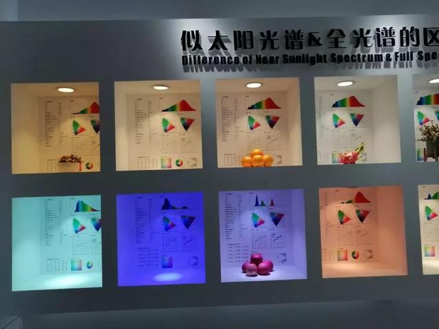 从今年光亚展看封装厂商的突围之道