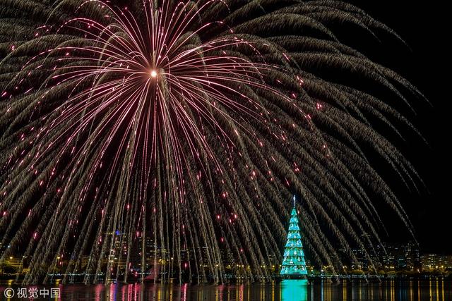 世界最大圣诞树在巴西里约点亮 90万个LED灯闪耀黑夜