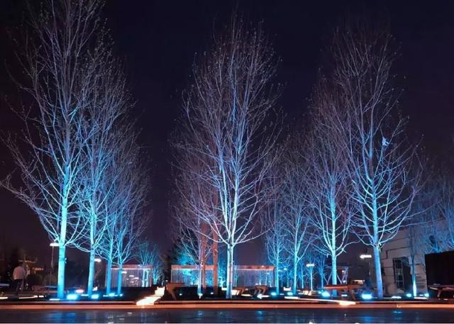 美极了！雷士照明助力照亮北京世园会