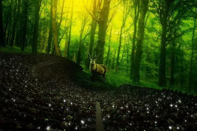 LED的外壳组成的球形建筑 LED的外壳组成的球形建筑