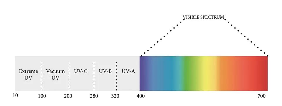 详细解析：用于农业新兴应用的UV LED技术