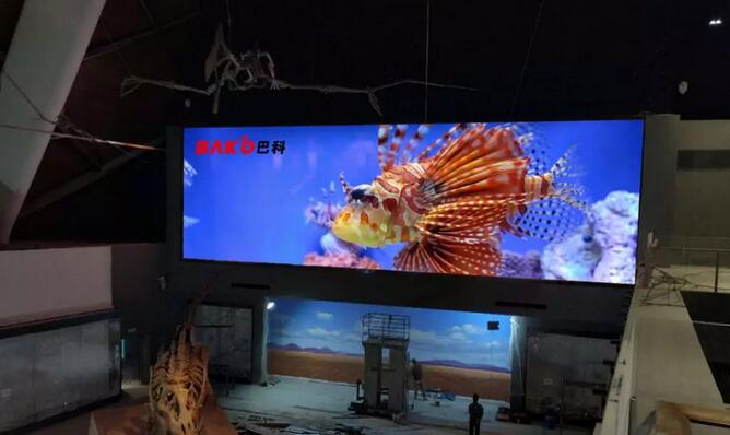 巴科LED大屏幕助力国家海洋博物馆“永不落幕”