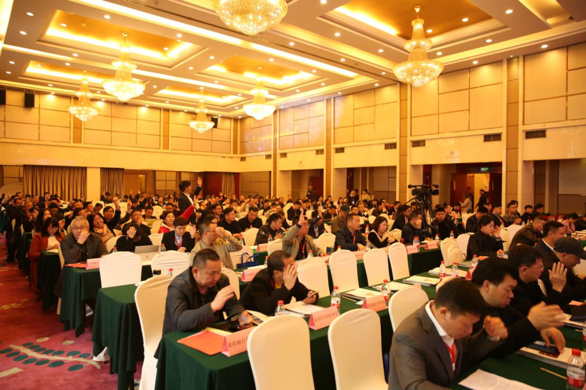 湖南省照明学会第二届一次会员代表大会暨2019年学术年会圆满落幕