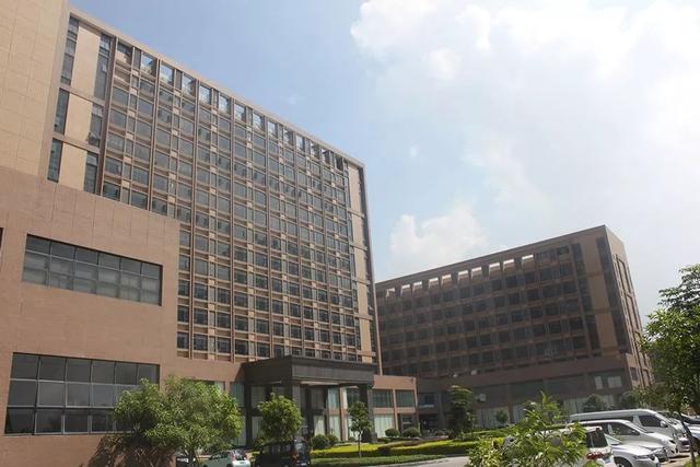 奥蕾达：创新一刻不止，发挥所长奔向既定目标