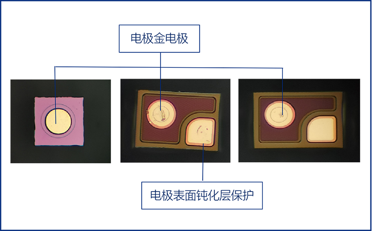 为“小间距”升级保驾护航，晶台蜂鸟1010已经Ready！