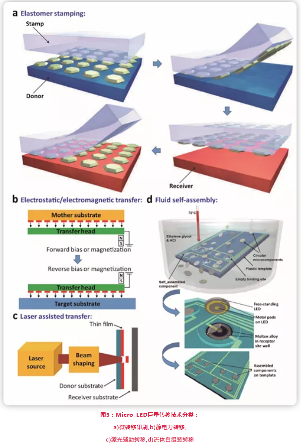 Micro-LED与量子点显示技术