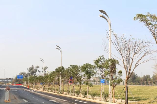 助力智慧杆行业标准化建设，洲明参与制定的多个行业标准成功发布