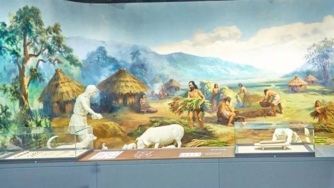 影像与文化碰撞出耀眼火花，鸿合带你领略江城文化底蕴