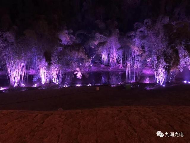 九洲光电│新年助力第26届自贡国际恐龙灯会