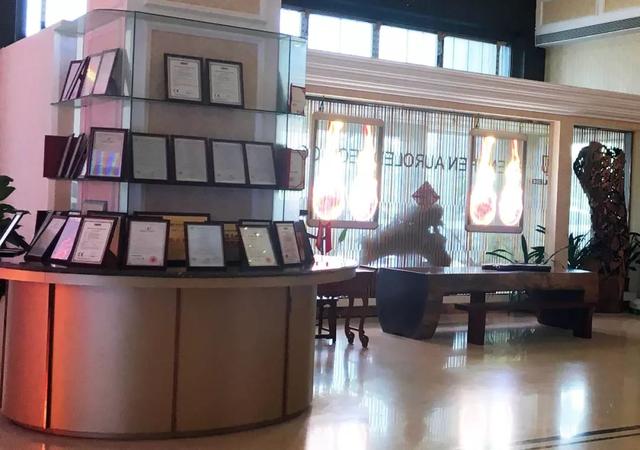 奥蕾达：创新一刻不止，发挥所长奔向既定目标