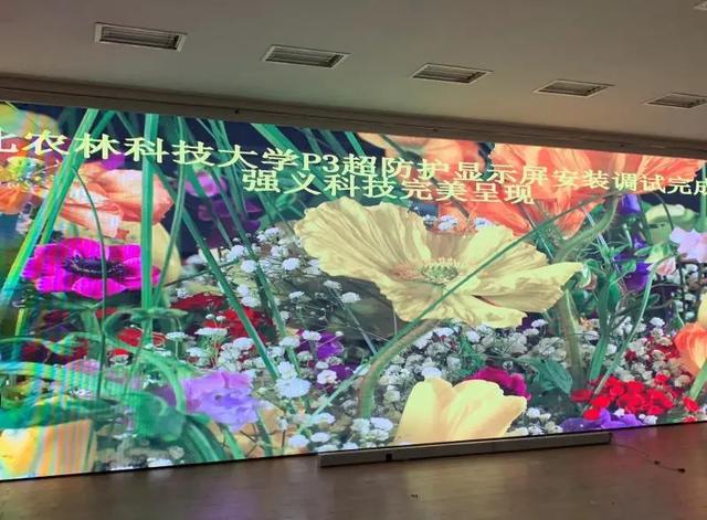 强义科技：GOB技术的创引者和践行者