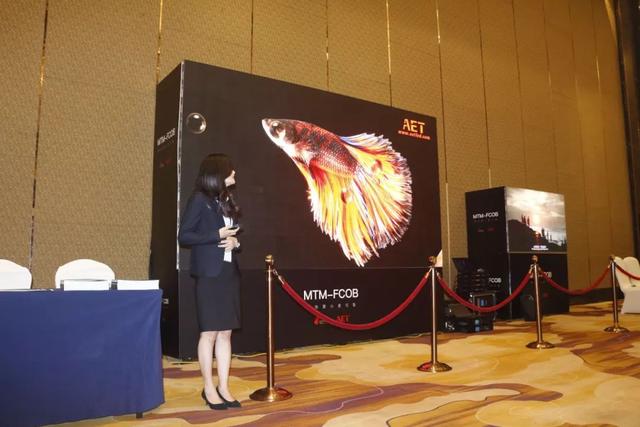 MTM-FCOB震撼发布，AET解锁显示行业新未来