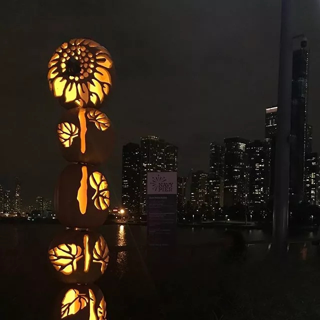 芝加哥上演“万圣节主题灯光秀”
