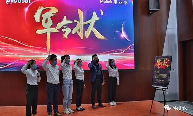屏联多彩世界，与众万里相约丨深德彩Melink事业部正式成立