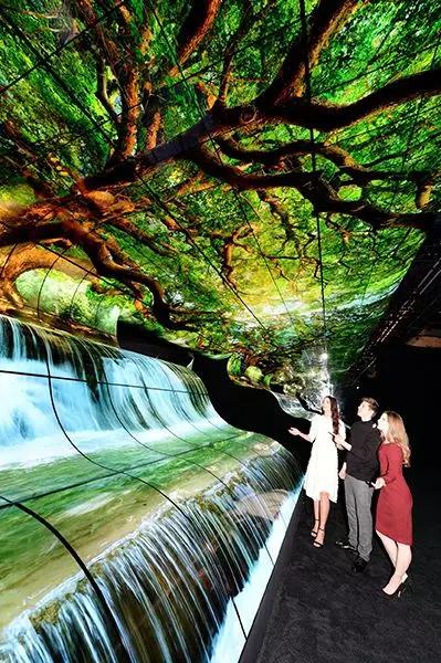 哪些趋势正在重新定义视听