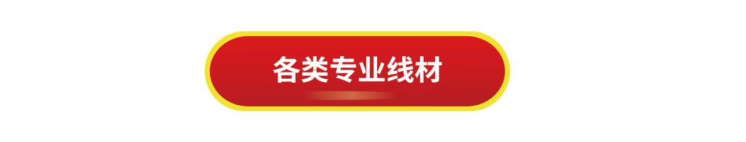 视诚官方商城上线——摆摊啦！！！