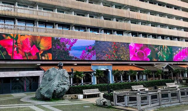 铁歌杭州平海国际860㎡微光栅大屏点亮！