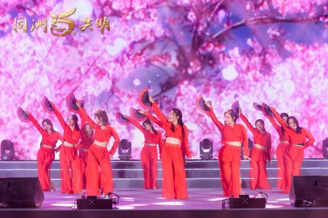 洲明科技十五周年庆典暨新春表彰大会圆满举行