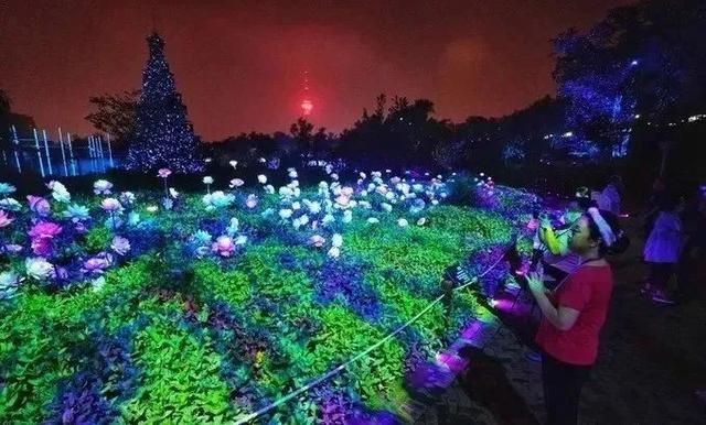 首届北京国际光影艺术季——“万物共生”户外光影艺术沉浸式体验展