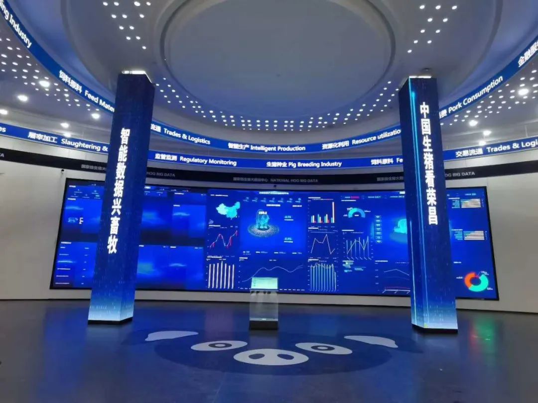 科技赋能智慧农业，洲明助力打造我国首个畜牧单品种国家数据平台！