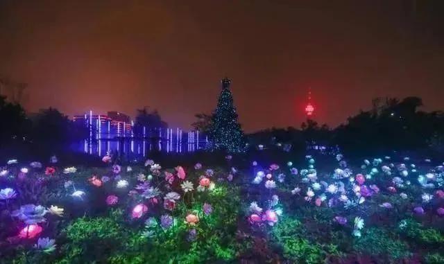首届北京国际光影艺术季——“万物共生”户外光影艺术沉浸式体验展