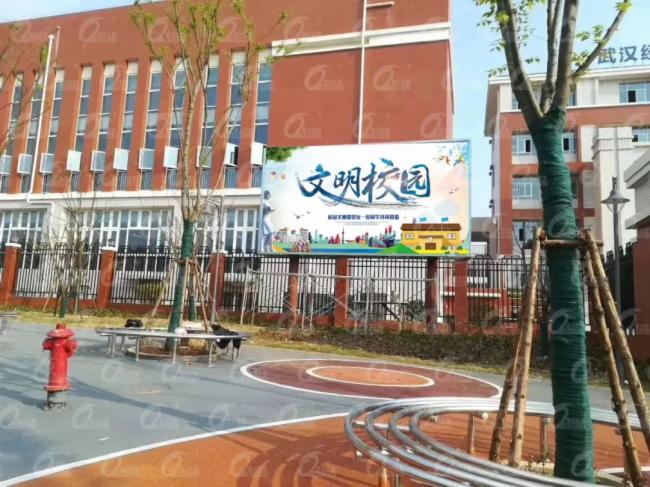 距离产生美？不！户外小间距近看也很美~