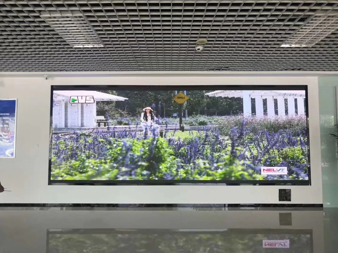 且看海佳彩亮超清小间距遍地开花