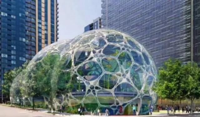 成功案例｜助力巨龙腾飞，展现视界风采